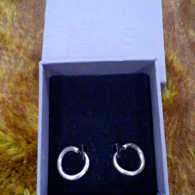 Cos Silver Earrings